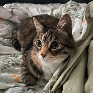 Just browsing and looking for something interesting